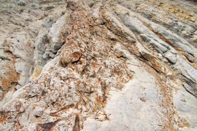 Прикрепленное изображение: IMGP6392.jpg